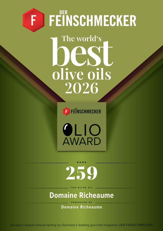 Olivenöl 2025 (BIO)